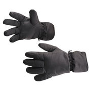 GL10 Waterproof Ski Gloves